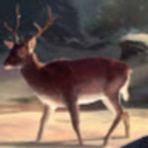 Meet your Posher, Hailey